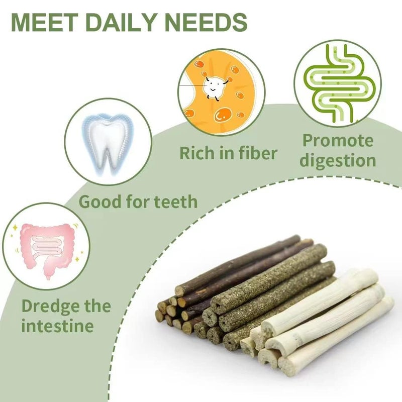 Dbeans Flourithing 300g Guinea Pig & Rabbit Chew Toys with Apple & Timothy Sticks - Prevent Overgrown Teeth with Sweet Bamboo Treats - Ideal Rabbit Treats Included - Image 4